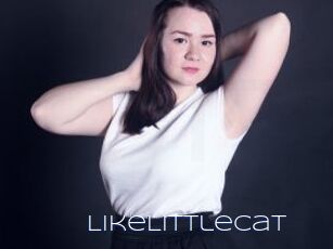 LikeLittleCat