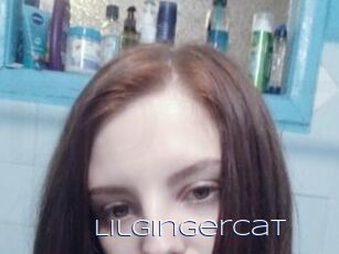 LilGingerCat