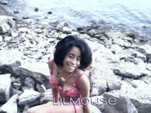 LilMouse