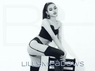 LillyMeadows