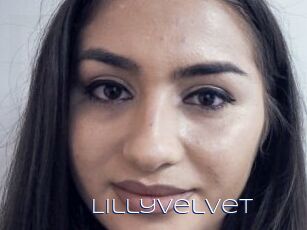 LillyVelvet