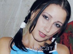 Lily_Cat_