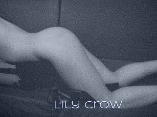 Lily_Crow