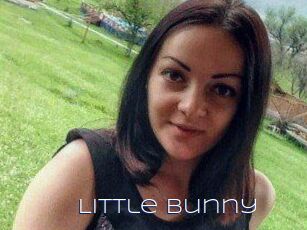 Little_Bunny_