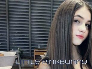 Little_PinkBunny