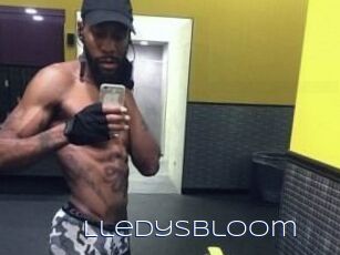 Lledys_Bloom