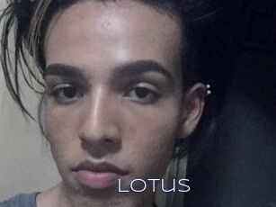 Lotus