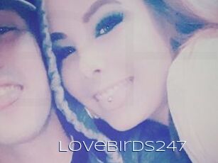 LoveBirds247