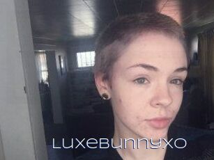 LuxeBunnyxo