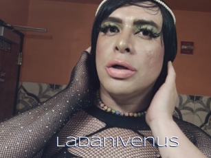 Ladanivenus