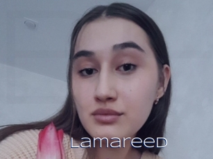 Lamareed