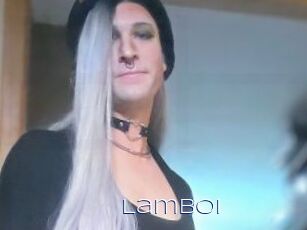 Lamboi
