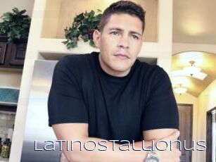 Latinostallionus