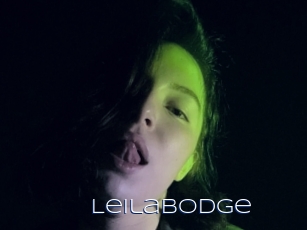 Leilabodge