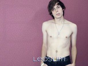 Leoslim