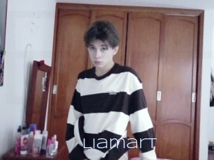 Liamart