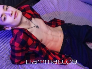 Liammalloy