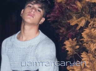 Liamtargaryen