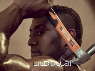 Lildollar