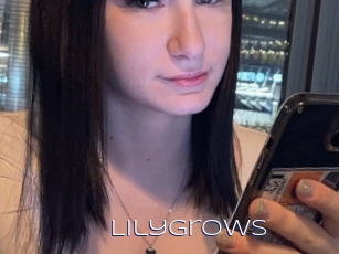 lilygrows Blue Hot