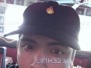 Link323