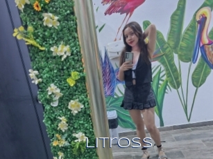 Litross