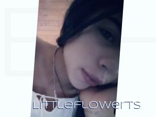 LittleflowerTS