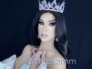 Littlesamm