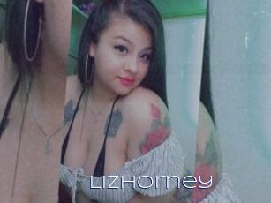 Lizhorney