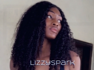 Lizzyspark