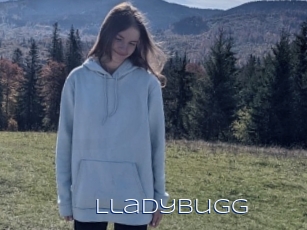 Lladybugg