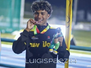 Luigispaez44