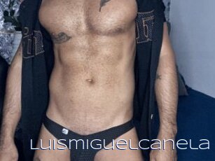 Luismiguelcanela
