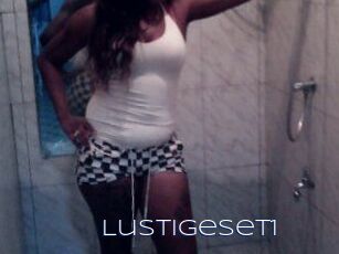 Lustigeset1