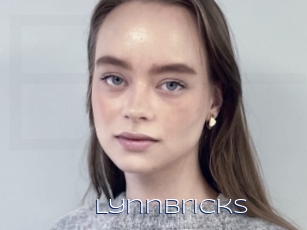Lynnbricks