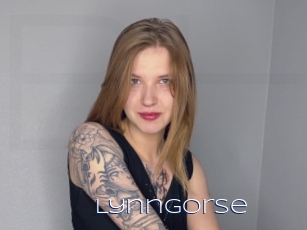Lynngorse