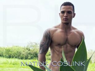 MATIUS_COSLINK
