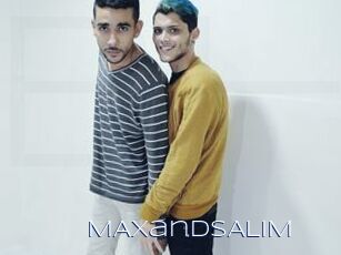MAXandSALIM