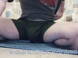 MagnusPackage85