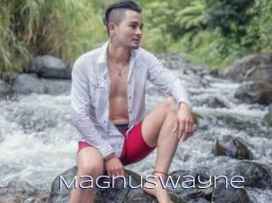 MagnusWayne