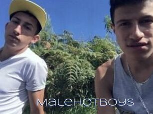 Malehotboys