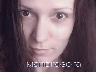 Mandragora