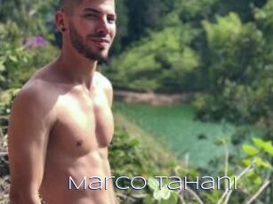 Marco_Tahani