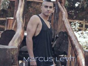 Marcus_Levit