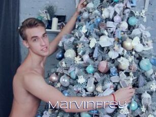 MarvinFrey Blue Hot