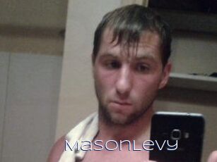 Mason_Levy