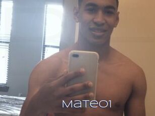 Mateo1