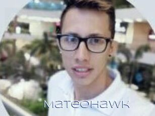MateoHawk
