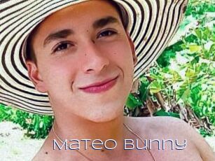 Mateo_Bunny