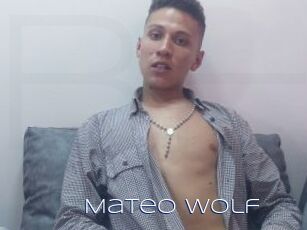 Mateo_Wolf